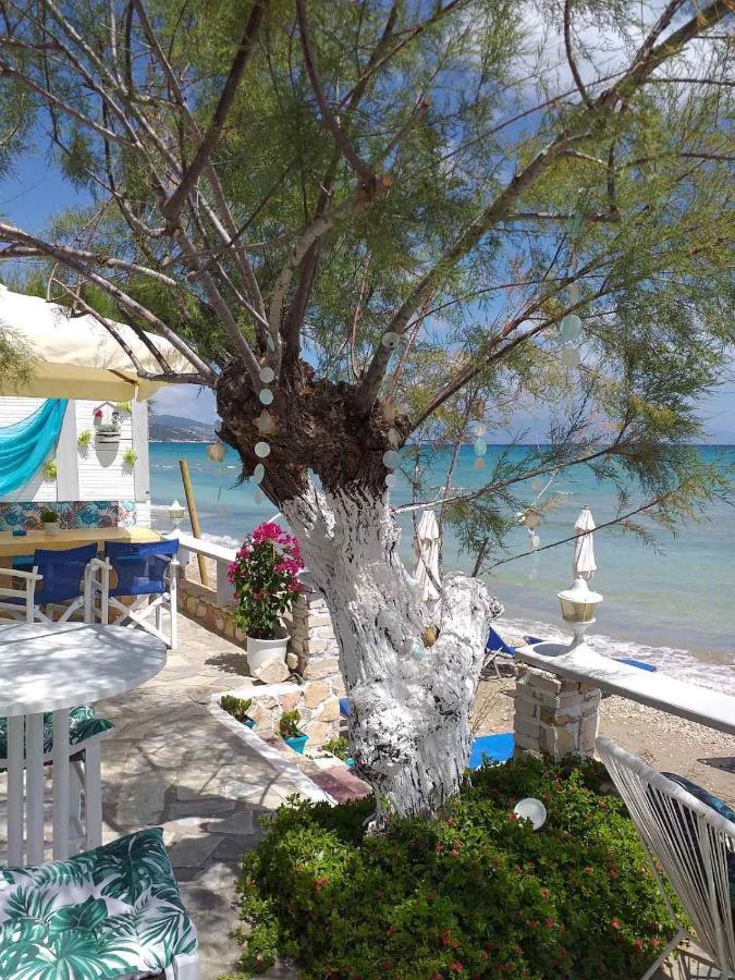 أليكيس Golden Dolphin Studios & Apartments المظهر الخارجي الصورة