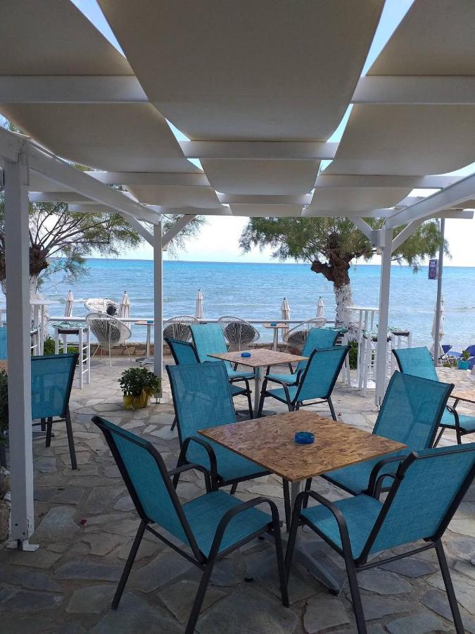 أليكيس Golden Dolphin Studios & Apartments المظهر الخارجي الصورة