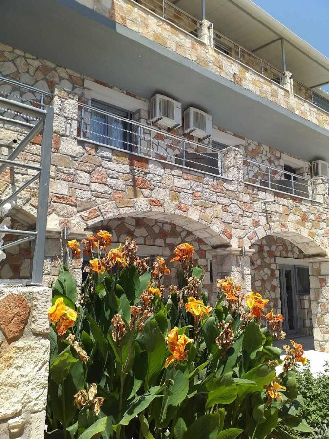 أليكيس Golden Dolphin Studios & Apartments المظهر الخارجي الصورة