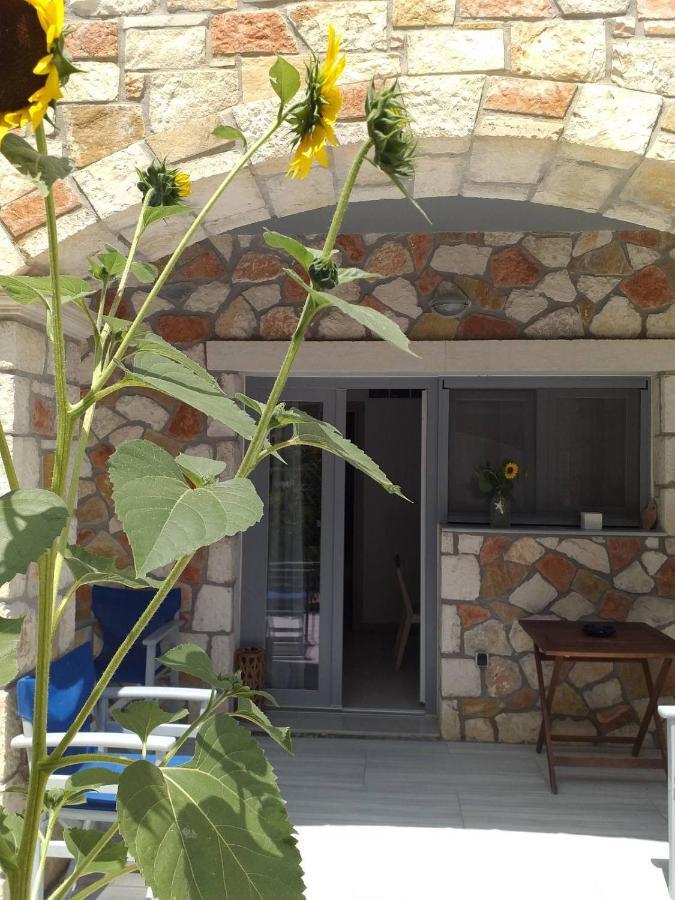 أليكيس Golden Dolphin Studios & Apartments المظهر الخارجي الصورة