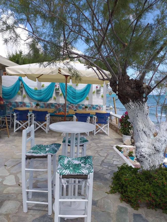 أليكيس Golden Dolphin Studios & Apartments المظهر الخارجي الصورة